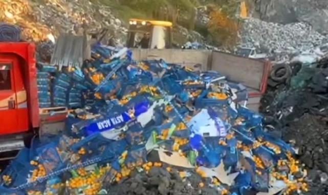 Artvin'de zirai ilaç kalıntısı tespit edilen 6,1 ton mandalina imha edildi