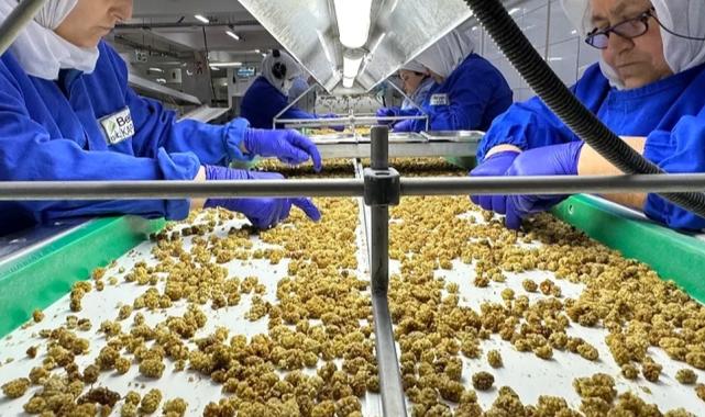 Çin'de organik sektörü 15 milyar dolarlık hacme ulaştı