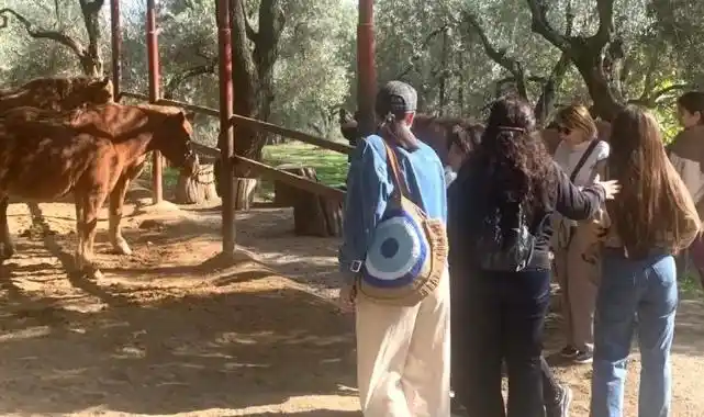 İzmir Narlıdere'de gönüllülere teşekkür