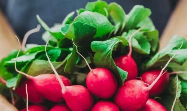 Pestisitte 'turp yaprakları' ayarı! Küçük ve büyük türler ayrı sınıflandırıldı!