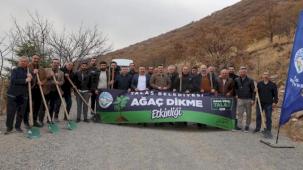 Ali Dağı'nın zirvesine bin 111 fidan