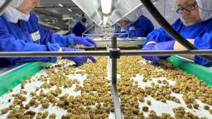 Çin'de organik sektörü 15 milyar dolarlık hacme ulaştı