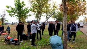 Diyarbakır'da üniversite öğrencileri sahada budama tekniklerini uygulamalı öğrendi