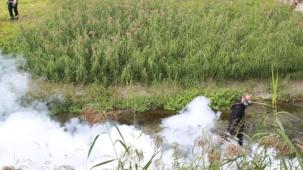 Kocaeli'de sinekle mücadele dört mevsim hız kesmiyor