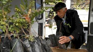 Konya'da 6 bin 370 sumak fidanı çiftçilere ulaştı