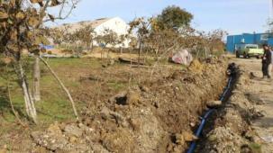 Ordu’da fındıkta verim için damlama sulama dönemi