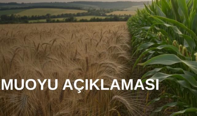 TMO’dan arpa ve mısır kontenjanlarıyla ilgili açıklama