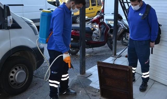Antalya'da vektörel mücadele çalışmaları sürüyor