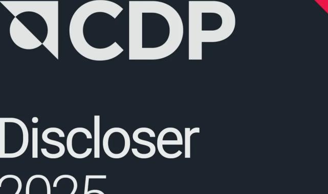 Çolakoğlu Metalurji, CDP’de “Yönetim Seviyesi”nde B Skoru Aldı