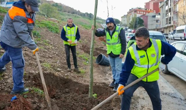 İstanbul Maltepe'de Zümrütevler’in parkları geri dönüşümle yenileniyor
