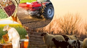 2 milyar TL'lik tarımsal destek hesaplarda