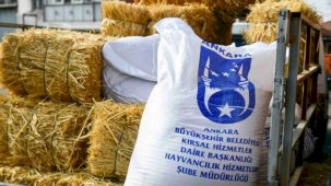 Ankara'da mandacılara yüzde yüz hibeli yem desteği