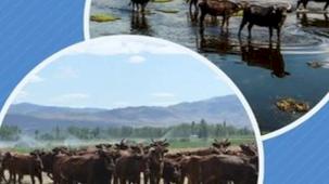 Halk elinde ıslaha 2,7 milyar TL destek