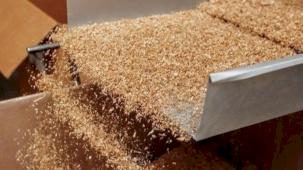 İşte ekonomideki yabancı pay! Yabancı kontrollü girişimde Almanya lider