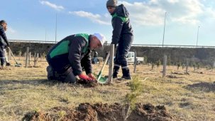 Kayseri Büyükşehir'den kentin yeşil alan varlığına destek