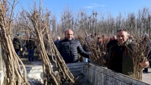 Kocaeli'de üreticilere yüzde 50 hibeli fidan dağıtımına devam