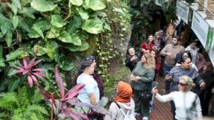 Konya Selçuklu’da Şeb-i Arus yoğunluğu