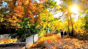 Mardin Yeşilli'de sonbahar büyüsü (Özel Haber)