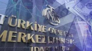 Merkez'in kredi hacmi 229 milyar TL'ye yükseldi