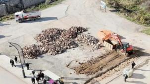 Ordu’da kent estetiğine yeni dokunuş