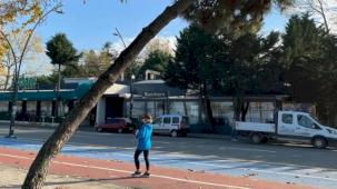 Ordu’da tehlike arz eden ağaçlar için güvenlik çalışması