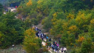 Sakarya’da doğayla iç içe sonbahar