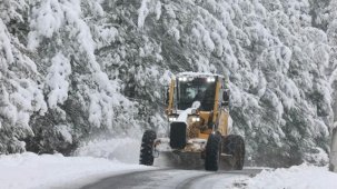 Sakarya'da kar alarmı
