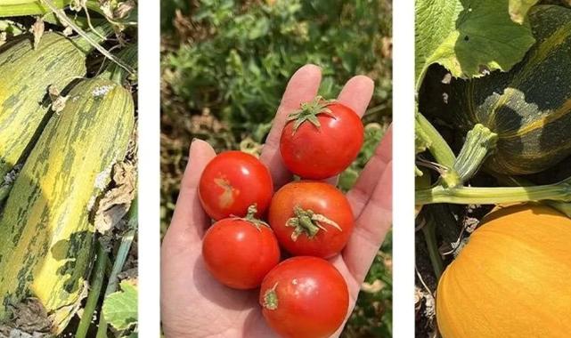 Balıkesir'de ‘ümit var’ sayısı 84’e yükseldi