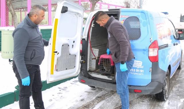 Kayseri Melikgazi'nin 'Sevimli Dost Ambulansı' boş durmadı