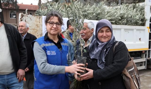 Muğla Ula’da üreticiye zeytin ve ceviz fidanı desteği
