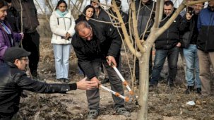 ABB'den Meyve Ağaçlarının Gelişimine Destek