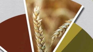 TMO'dan fenolojik rapor alarmı!