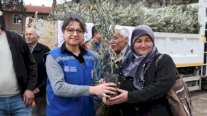 Muğla Ula’da üreticiye zeytin ve ceviz fidanı desteği
