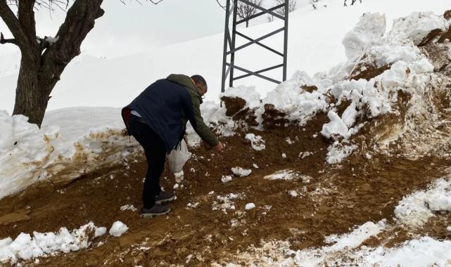 Batman Sason'da yabani hayvanlar için yemleme çalışması