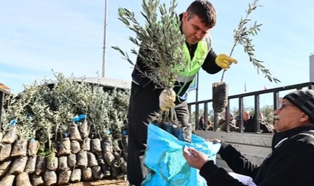 Denizli'de üreticiye zeytin fidanı desteği