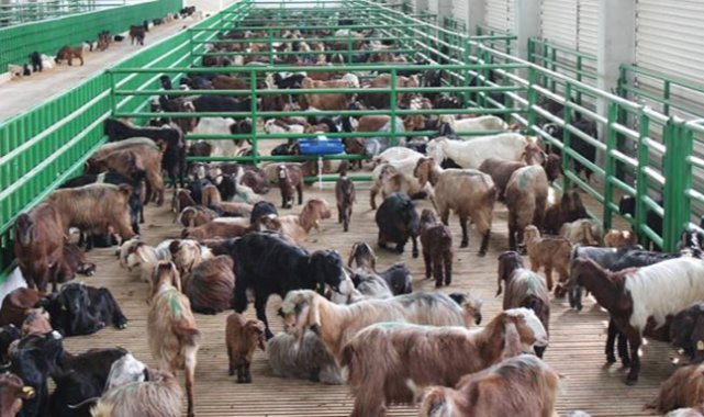 Kırsalda Bereket Projesi hazırlığı