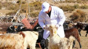 Antalya’da 'Çoban Haritası Projesi' büyüyerek devam ediyor