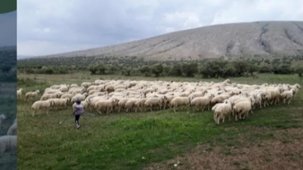 Kırsalda Bereket Projesi hazırlığı