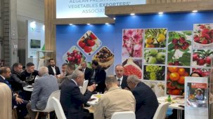 Yaş meyve sebze sektöründen Almanya'ya çıkarma