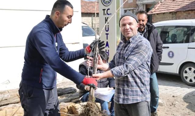 Kütahya’da yerel kiraz türleri toprakla buluşacak