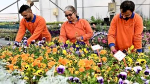 Antalya Muratpaşa’dan sürdürülebilir üretim modeli