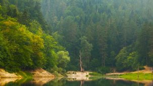 Doğa Koruma ve Milli Parklar'da yeni dönem