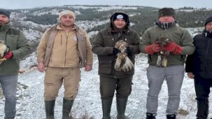 Eskişehir'de tedavi edilen yırtıcı kuşlar doğaya salındı