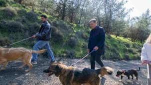 İzmir Büyükşehir'den sahipsiz hayvanlar için çağrı