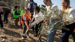 İzmir Güzelbahçe’de 1000 zeytin fidanı toprakla buluştu