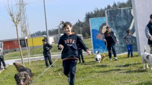 İzmir’de 2 bin 300 patili yuva bekliyor