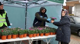 Kocaeli Büyükşehir'den ücretsiz binlerce çiçek