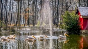 Kocaeli'de Ormanya ve Kuzuyayla ziyaretçilere hazır