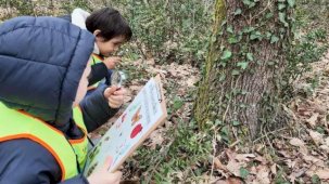 Lokomotif’in minikleri Ormanya’da keşfetti