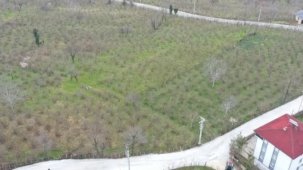 Ordu Büyükşehir’den Kumru’da yol seferberliği